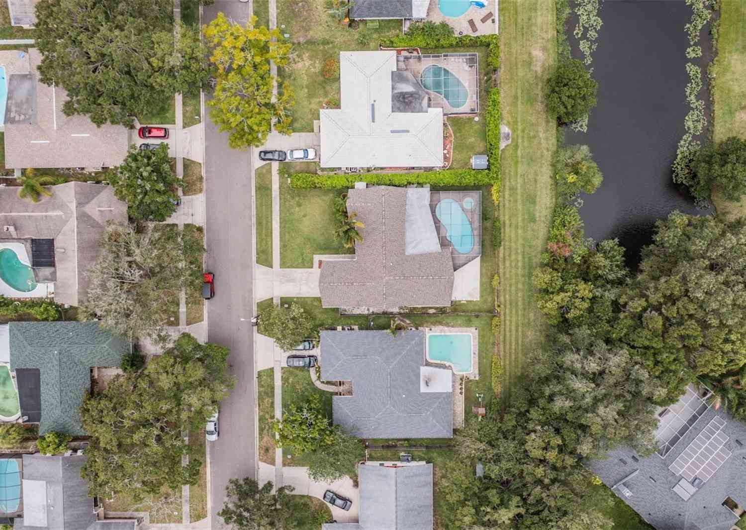 3018 Prestige Drive, CLEARWATER, Florida image 39