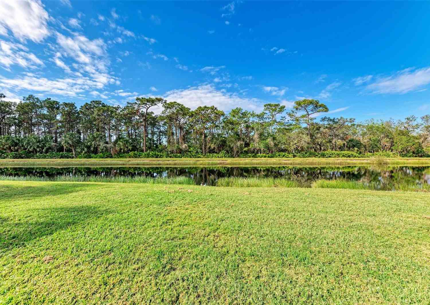 10037 Cherry Hills Avenue Circle, BRADENTON, Florida image 9