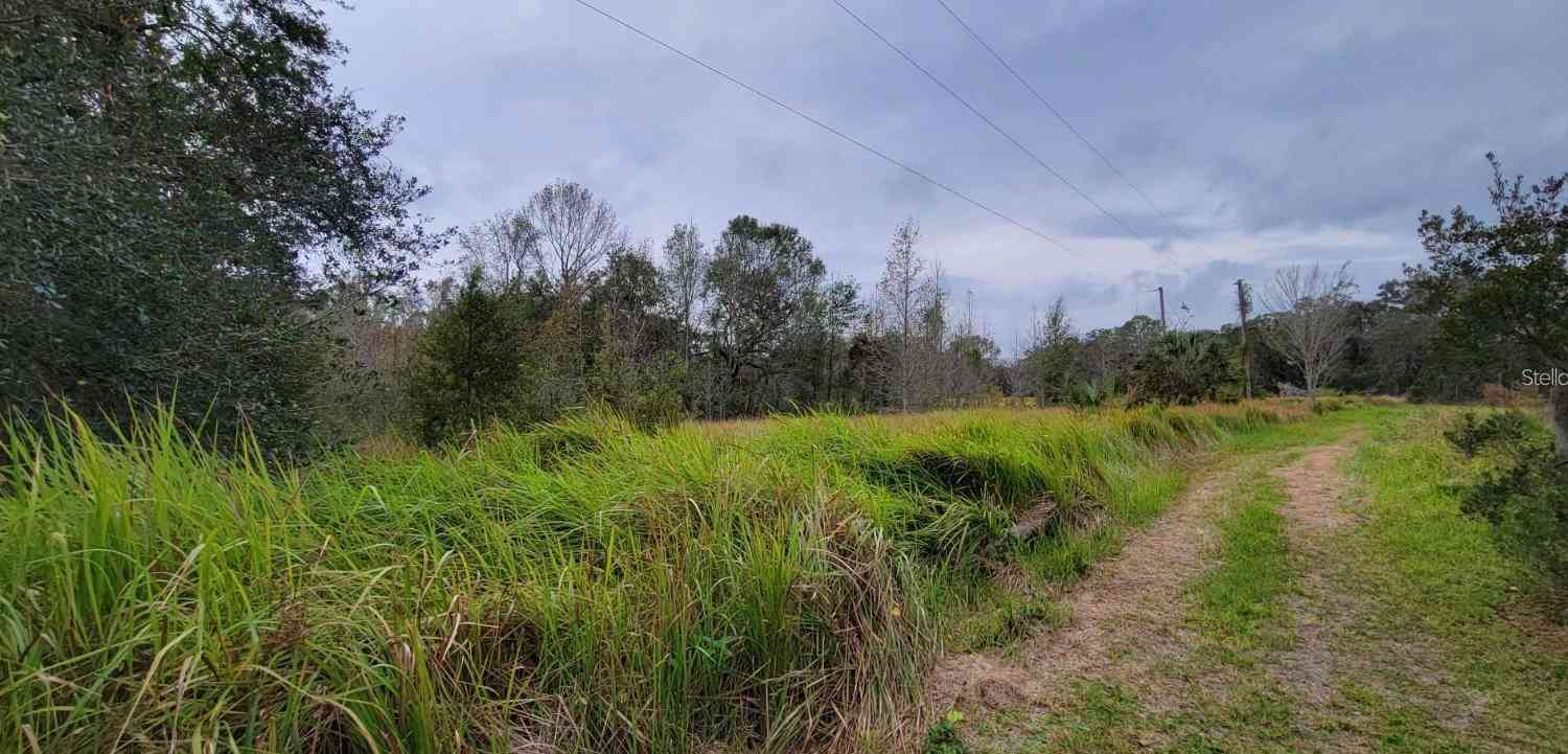 Joe King Road, PLANT CITY, Florida image 6