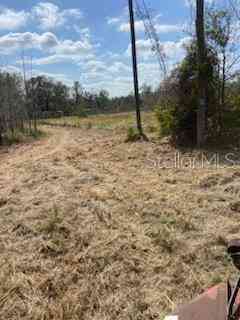 Joe King Road, PLANT CITY, Florida image 12