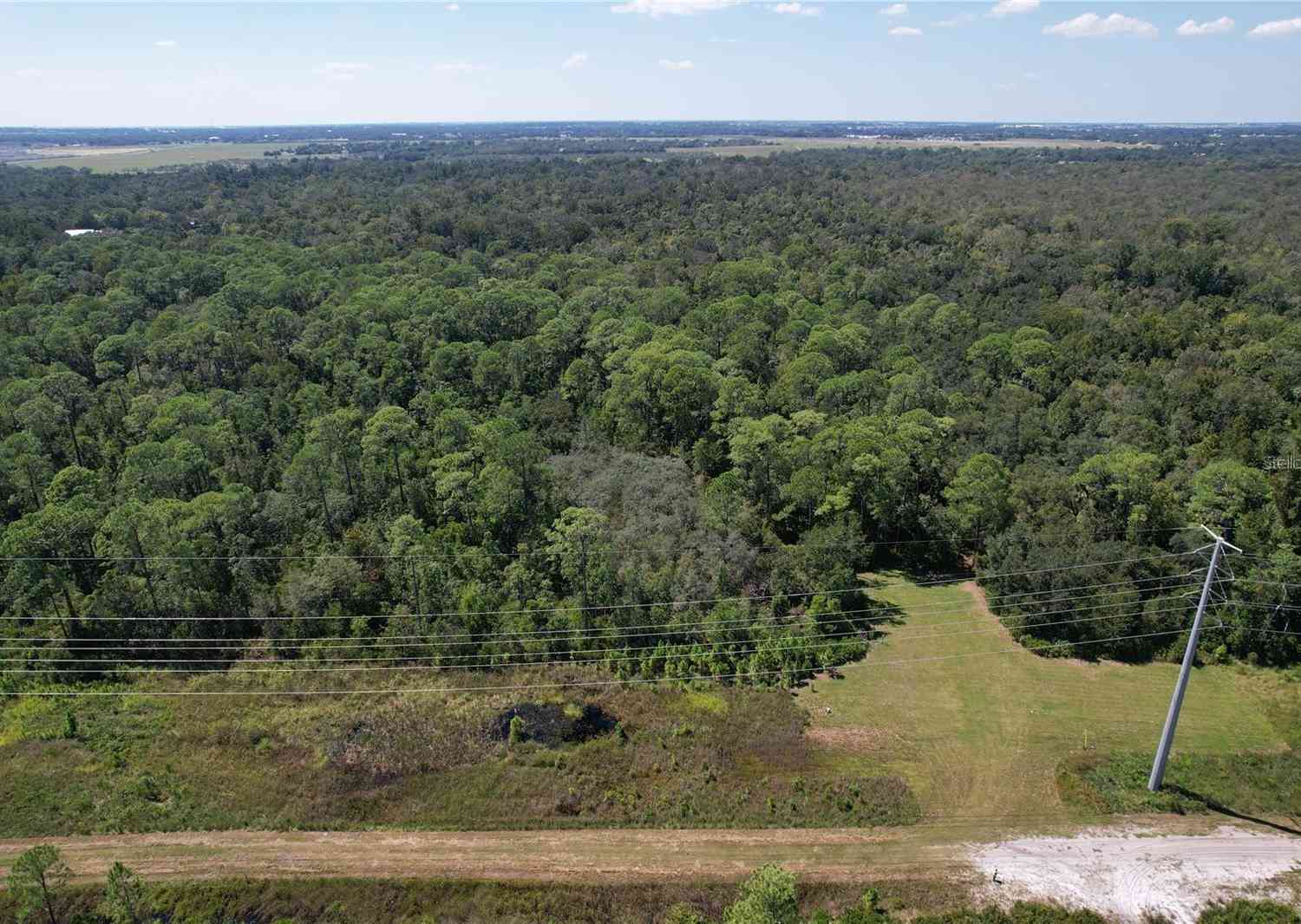 J B Carter Road, HAINES CITY, Florida image 4