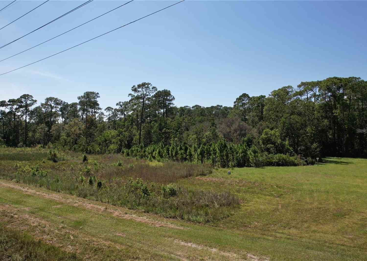 J B Carter Road, HAINES CITY, Florida image 3