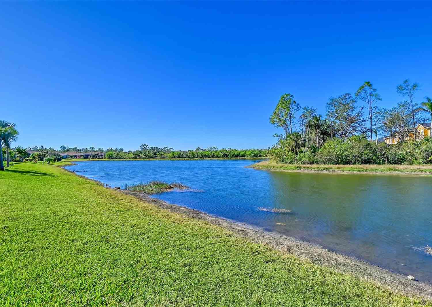 20833 Cattail Boulevard, VENICE, Florida image 34