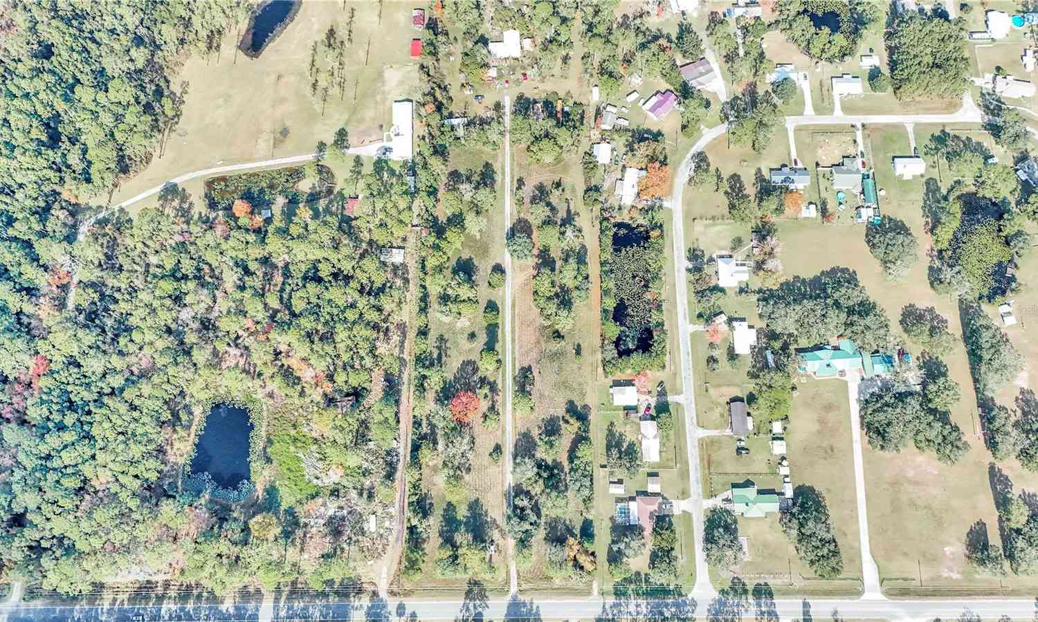 14521 E Highway 316, FORT MC COY, Florida image 1