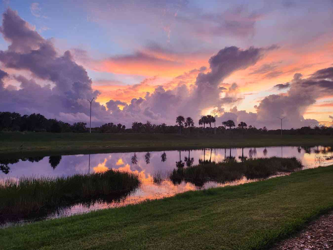 10185 Colubrina Drive, VENICE, Florida image 15