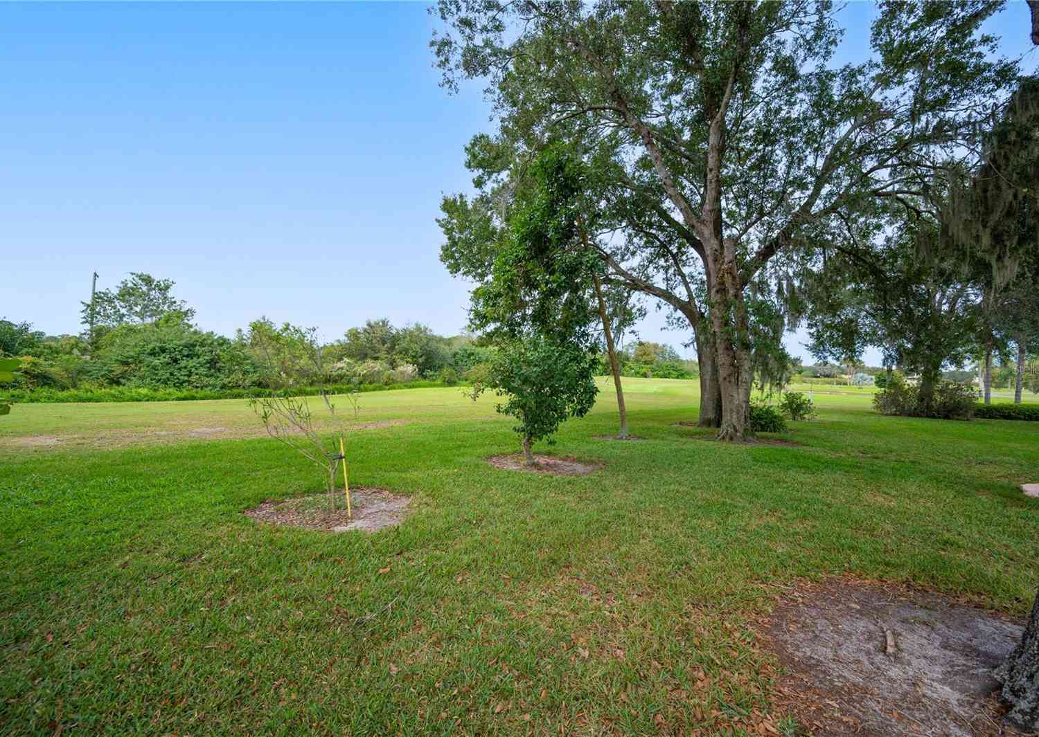 202 Golf Aire Boulevard, WINTER HAVEN, Florida image 31