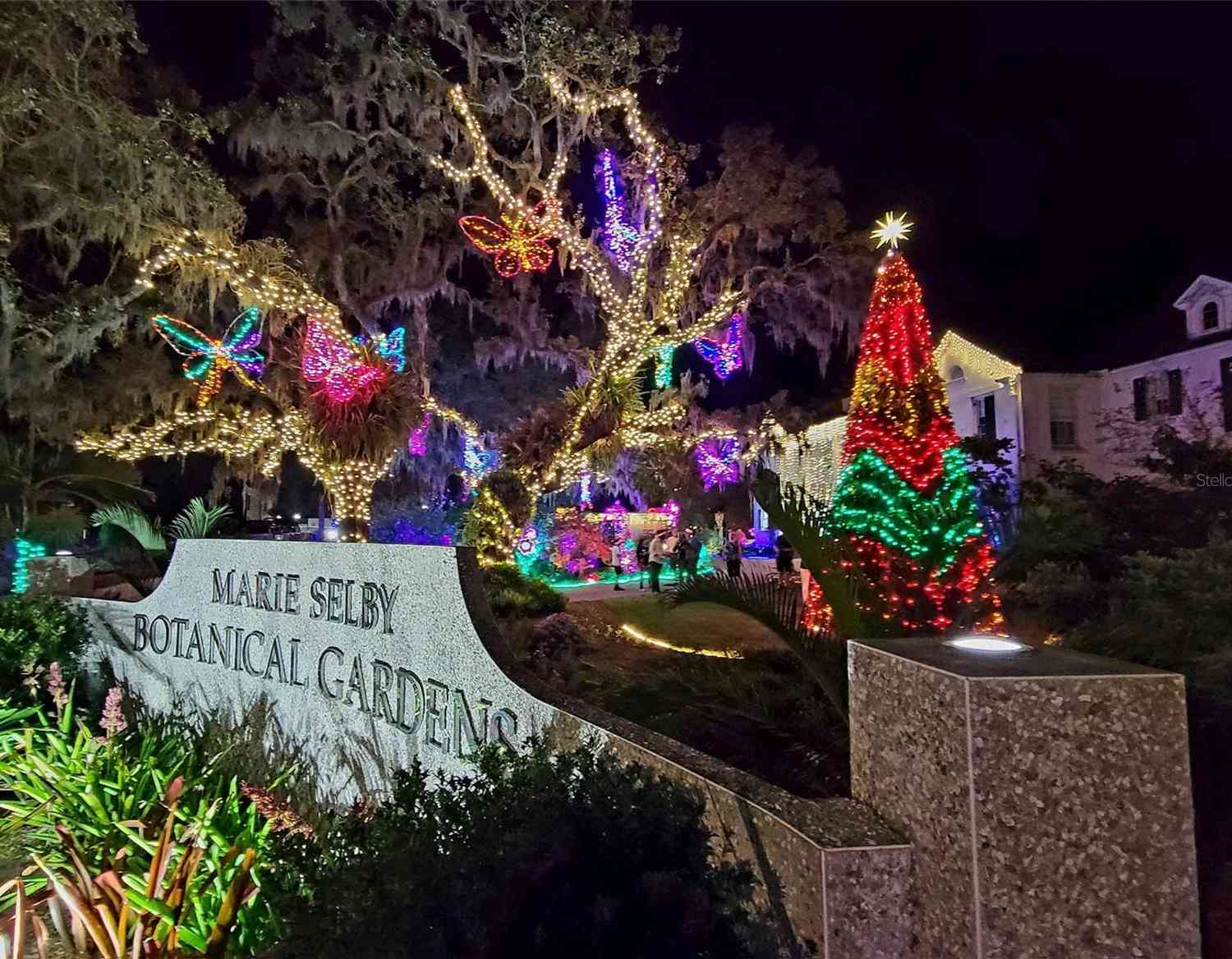 1667 Laurel Street, SARASOTA, Florida image 34