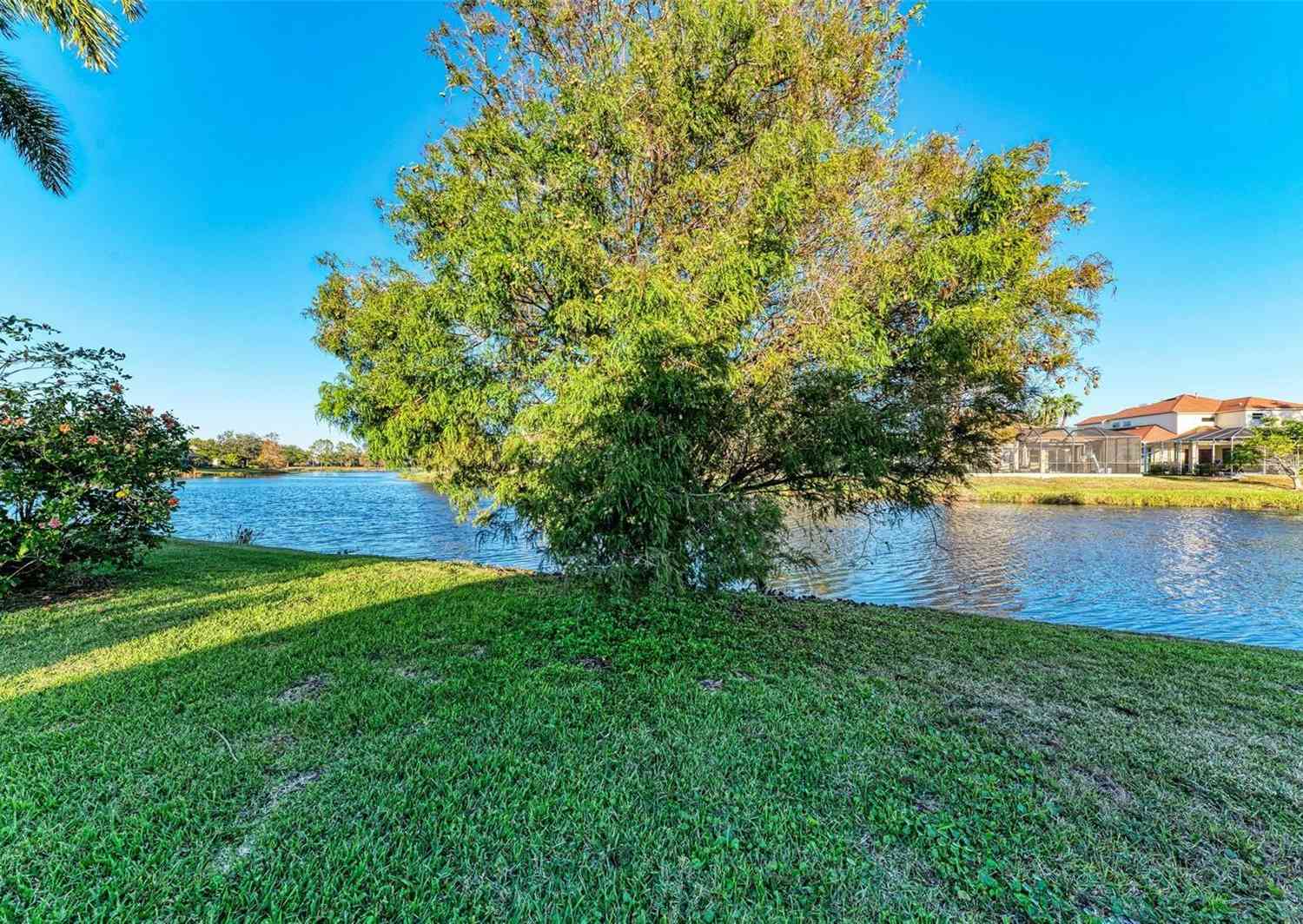 13951 Wood Duck Circle, LAKEWOOD RANCH, Florida image 46