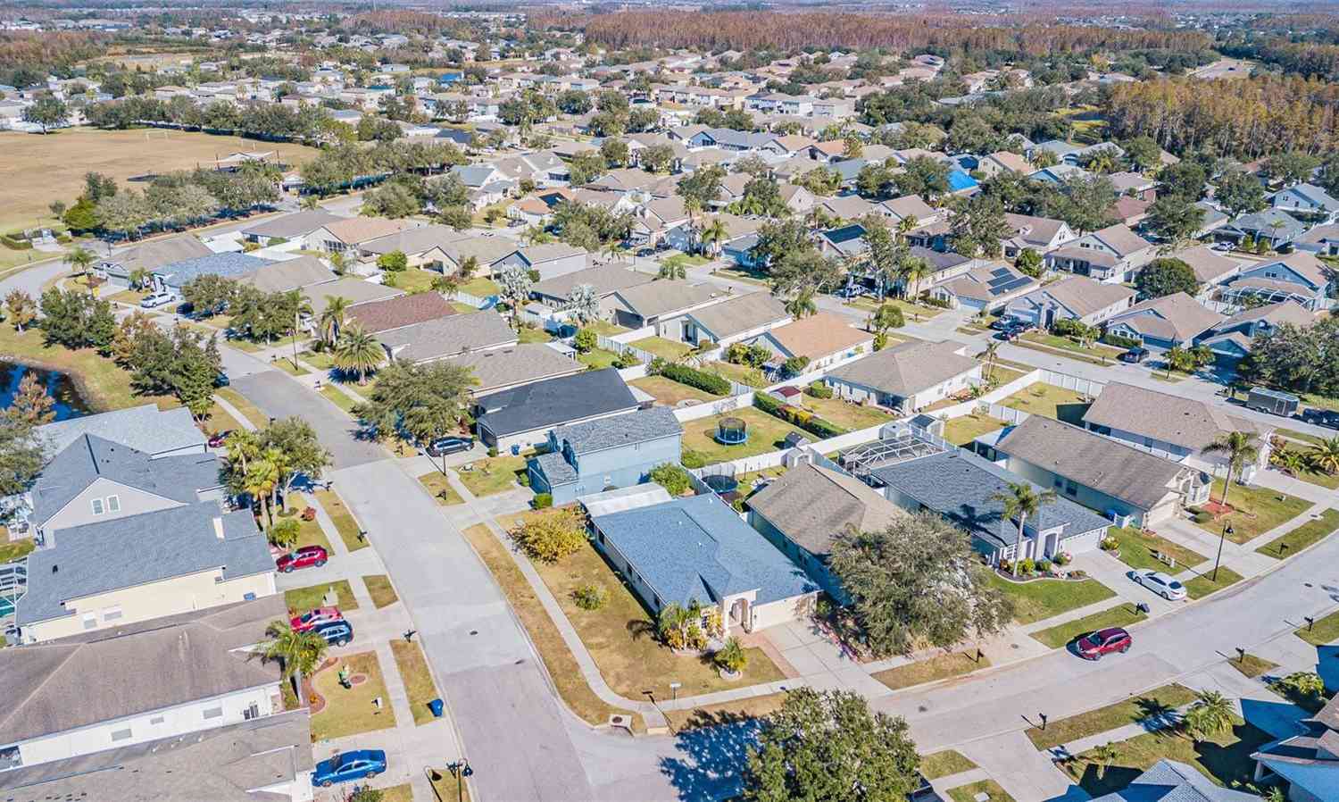 17227 Poppy Fields Lane, Land O Lakes, Florida image 8