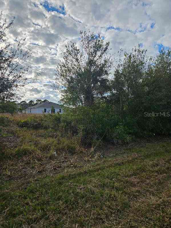 Skyview Drive, NORTH PORT, Florida image 3