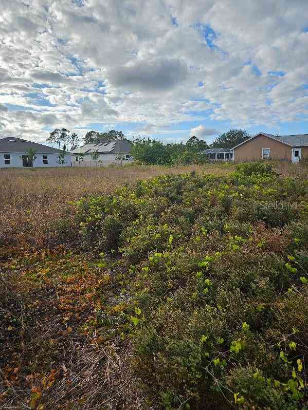 Skyview Drive, NORTH PORT, Florida image 4