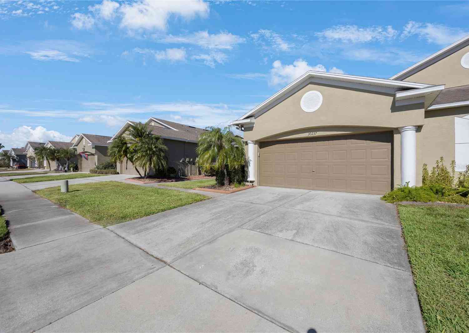 30237 Lettingwell Circle, Wesley Chapel, Florida image 3