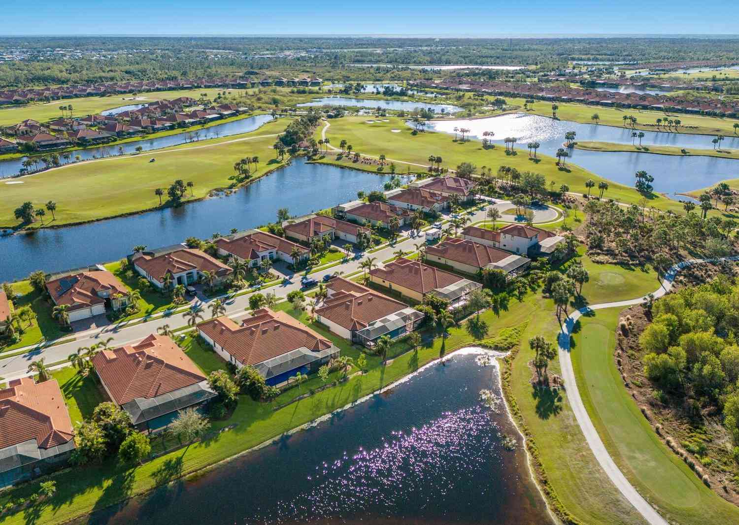 10817 Whisk Fern Drive, VENICE, Florida image 38