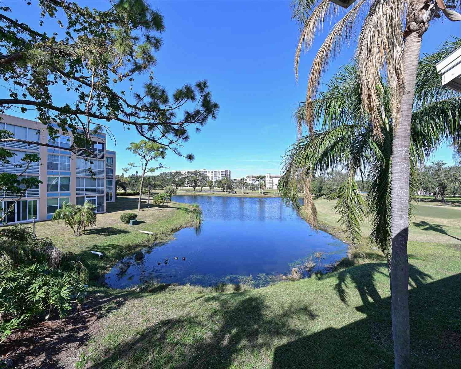 4330 Pinebrook Circle #APT 9, BRADENTON, Florida image 27