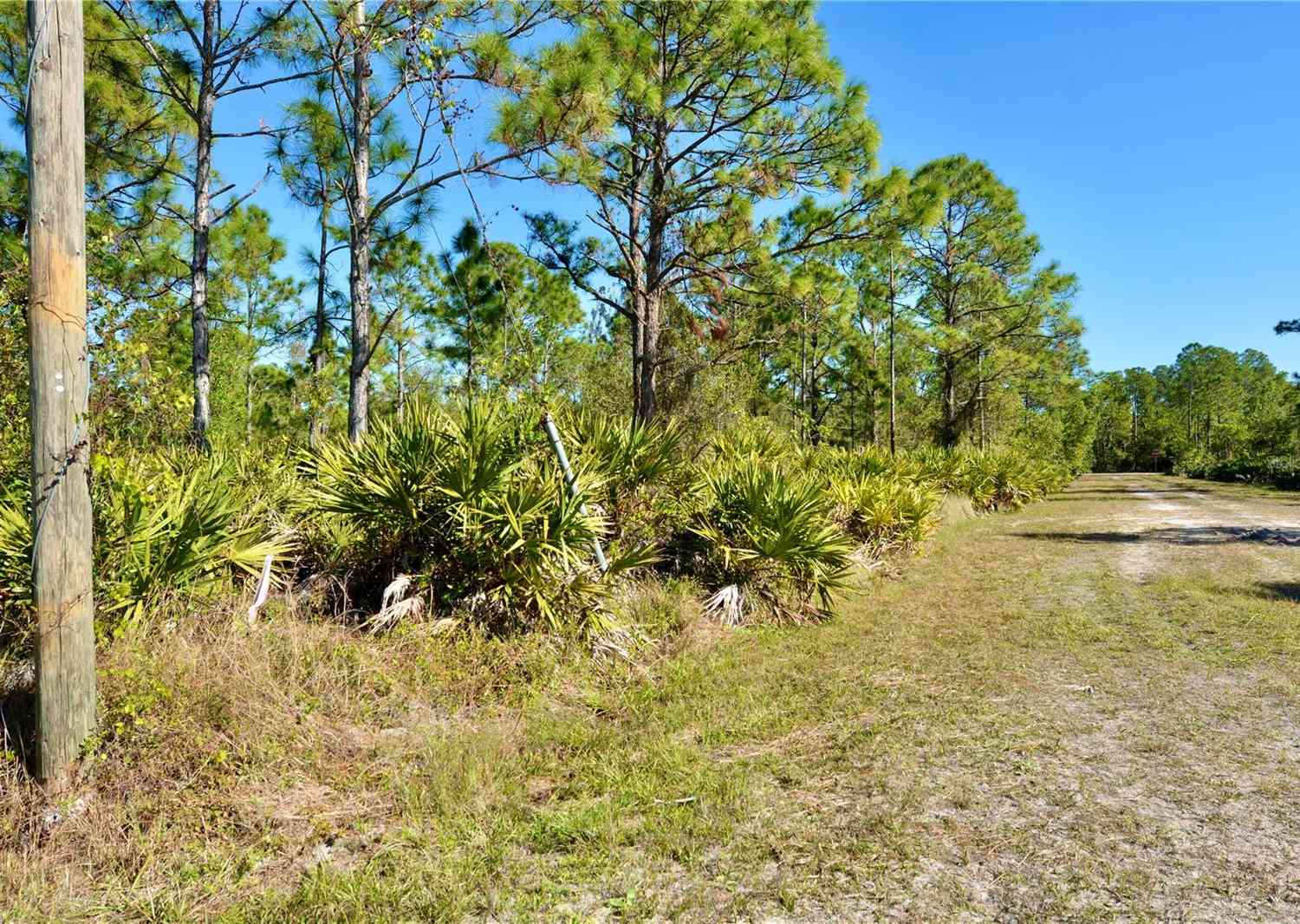 28005 Pendergrass Avenue, PUNTA GORDA, Florida image 9