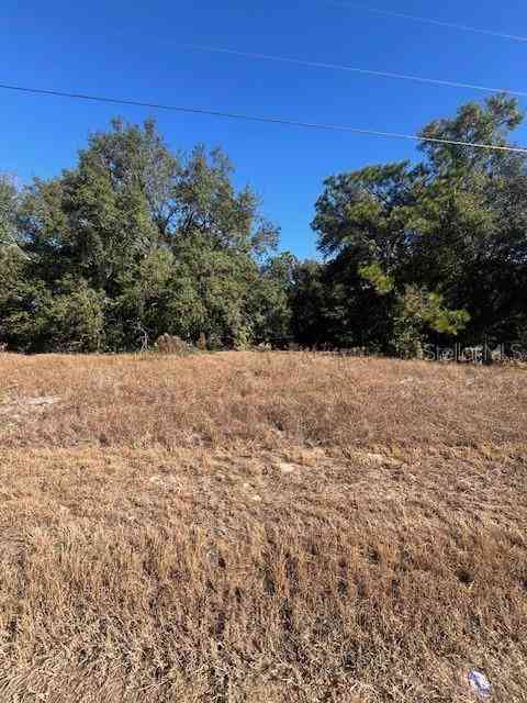 TBD Malauka Run Court, OCKLAWAHA, Florida image 3