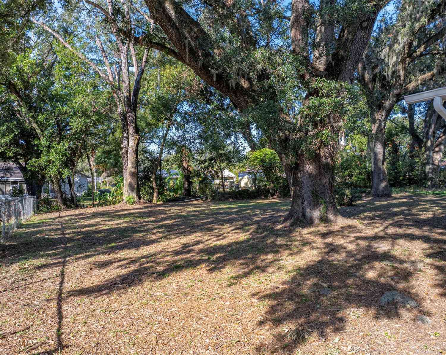 5925 Wilson Drive, ZEPHYRHILLS, Florida image 35