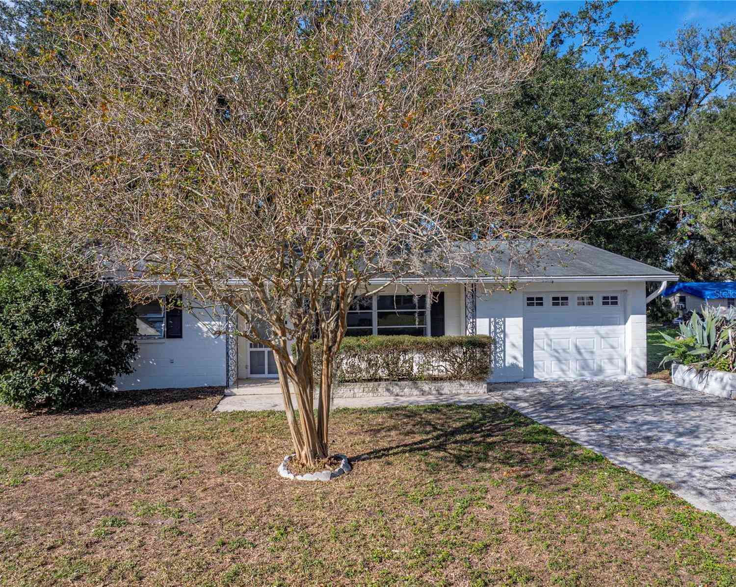 5925 Wilson Drive, ZEPHYRHILLS, Florida image 8