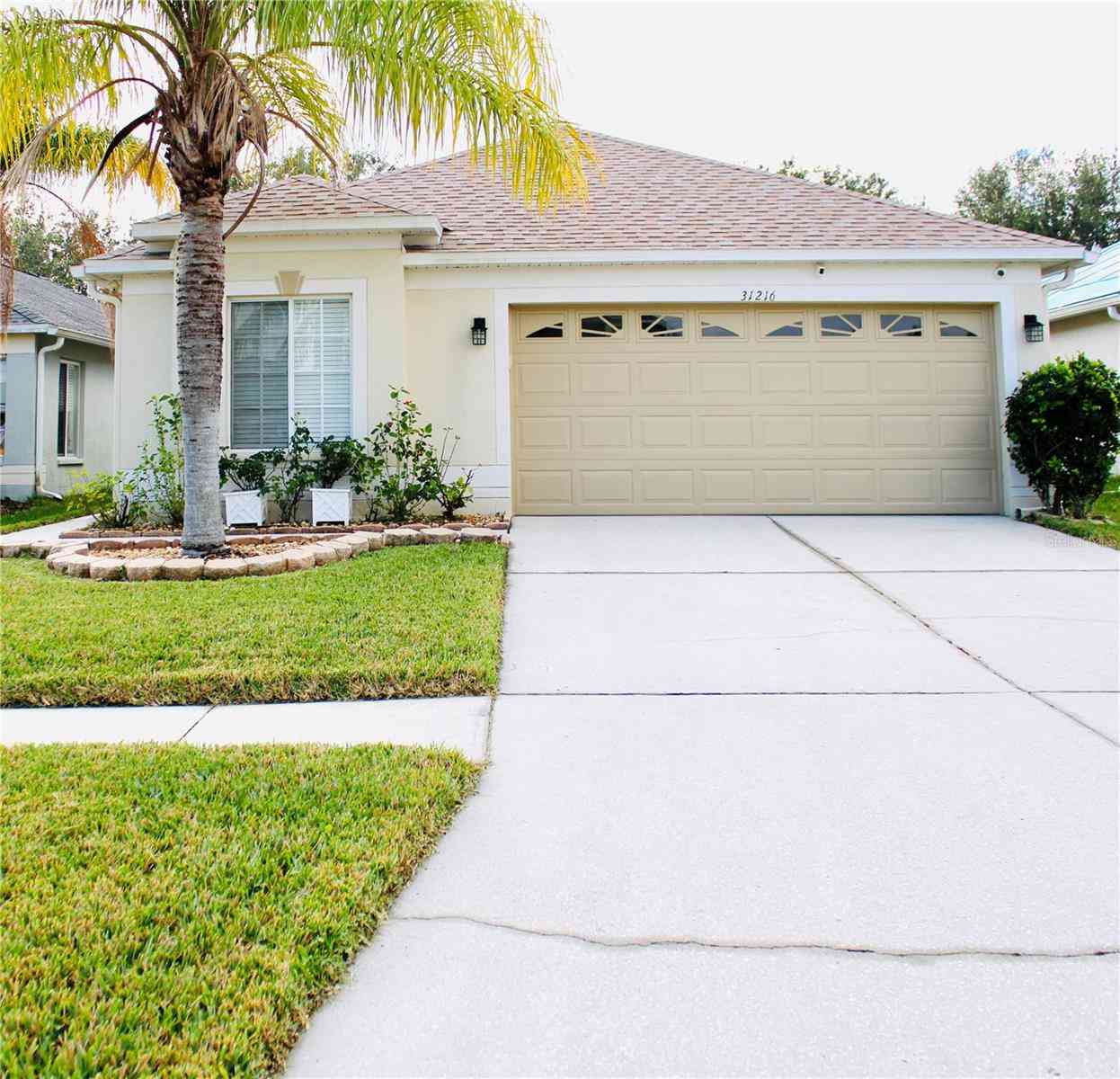 31216 Masena Drive, Wesley Chapel, Florida image 2