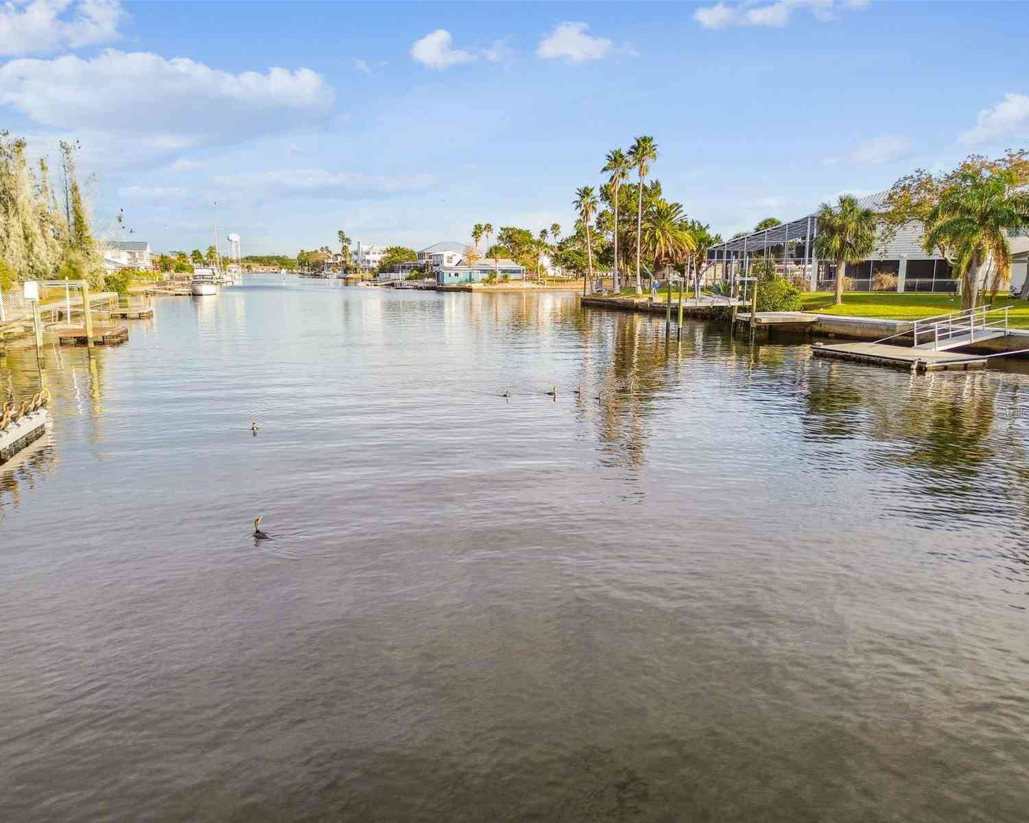 3410 Minnow Creek Drive, HERNANDO BEACH, Florida image 13