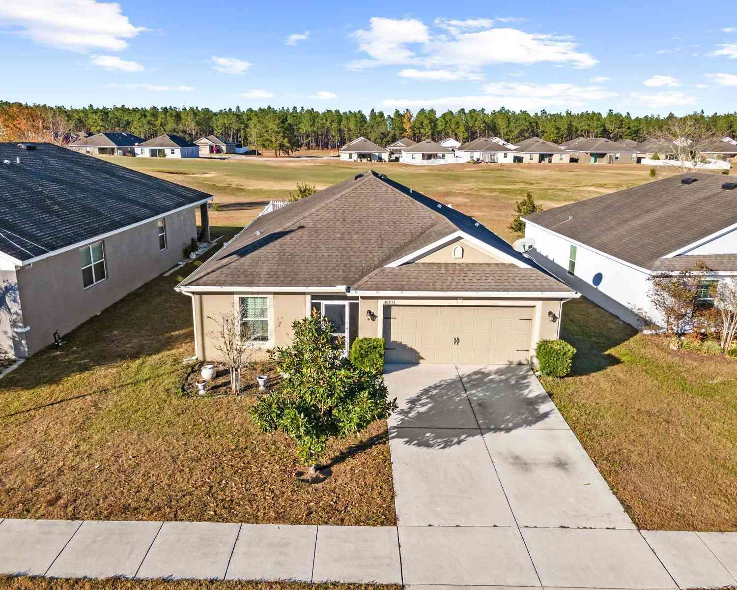 30851 Water Lily Drive, BROOKSVILLE, Florida image 1