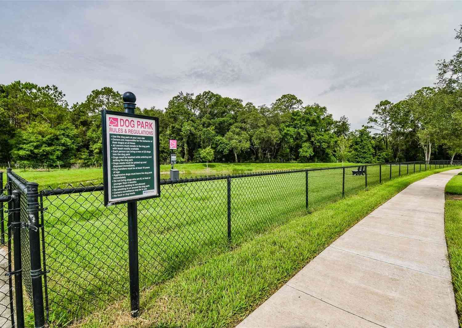 7139 Steer Blade Drive, ZEPHYRHILLS, Florida image 36