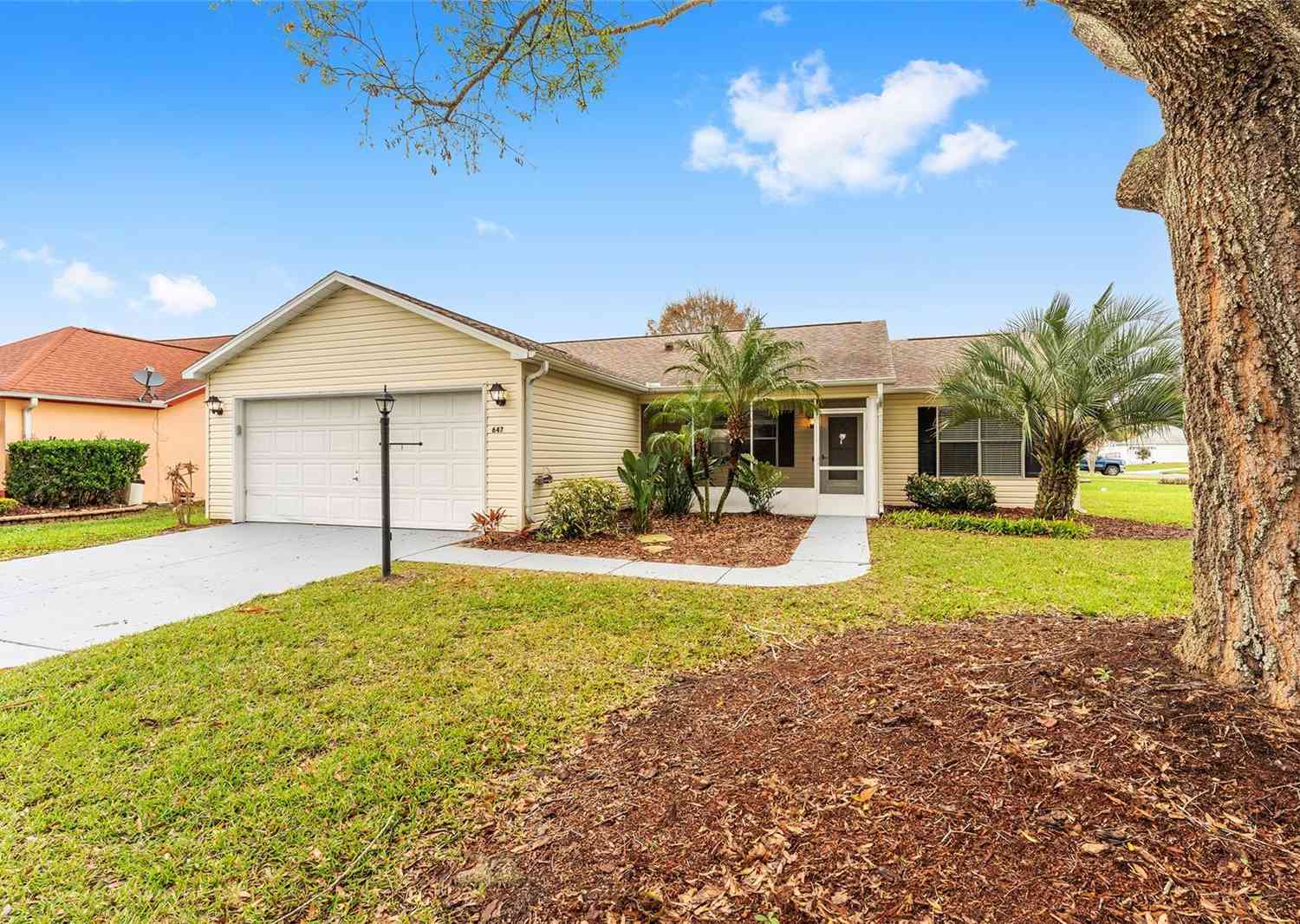 647 San Pedro Drive, THE VILLAGES, Florida image 1