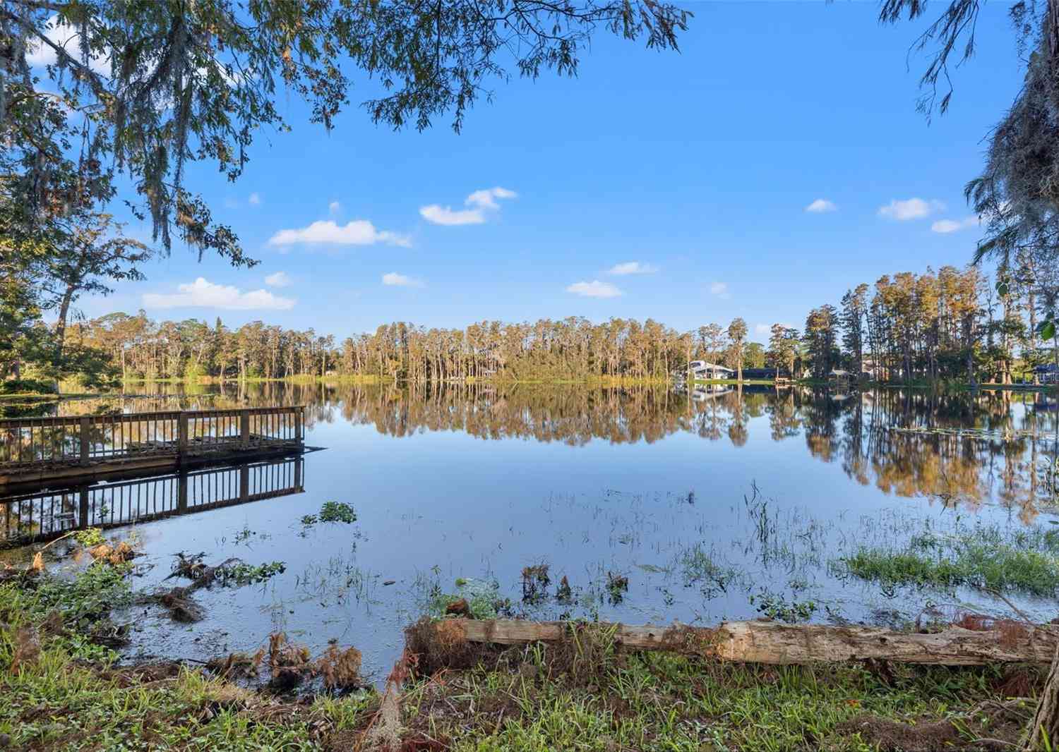 905 Lake Fuller Drive, LUTZ, Florida image 31