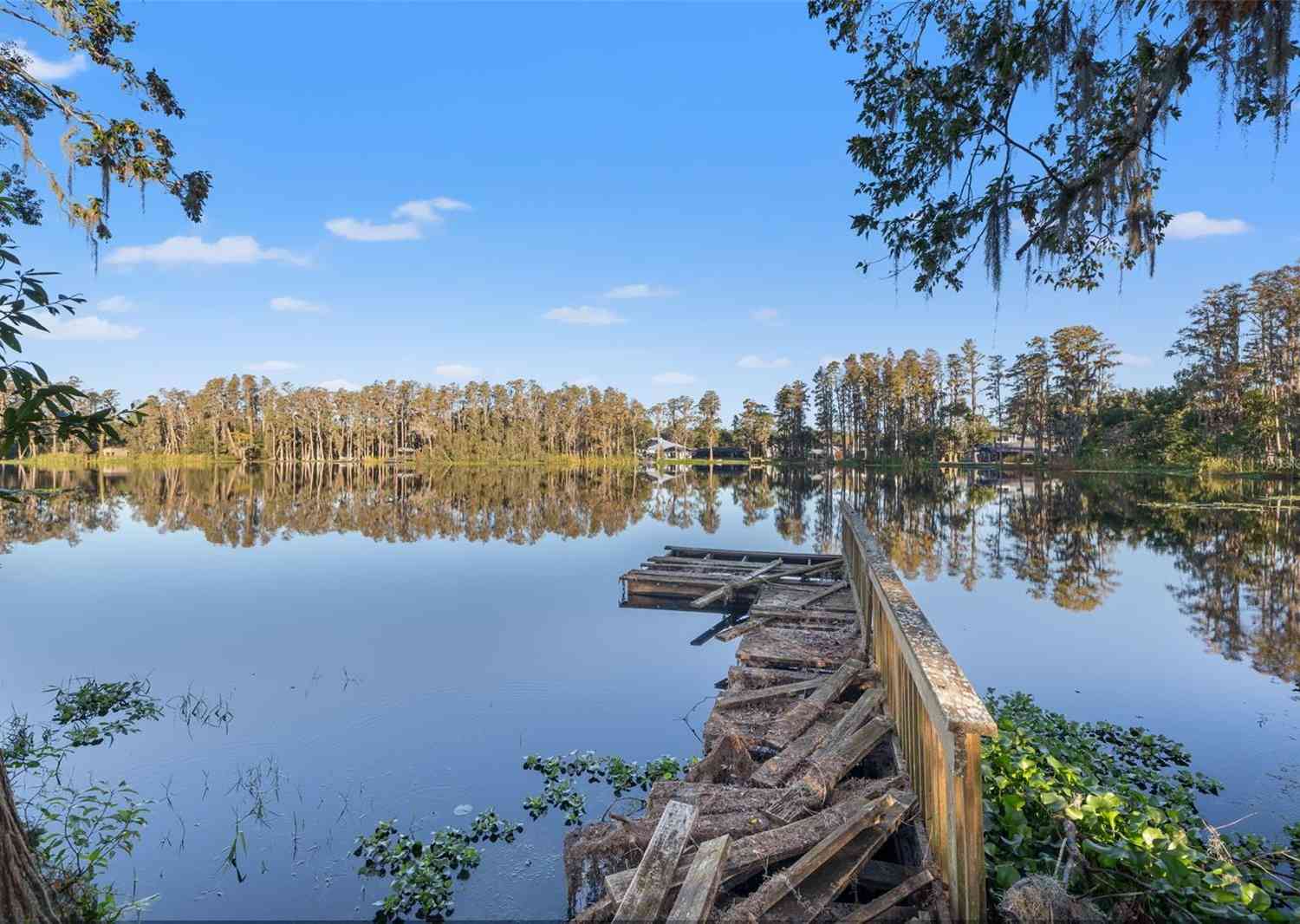 905 Lake Fuller Drive, LUTZ, Florida image 30