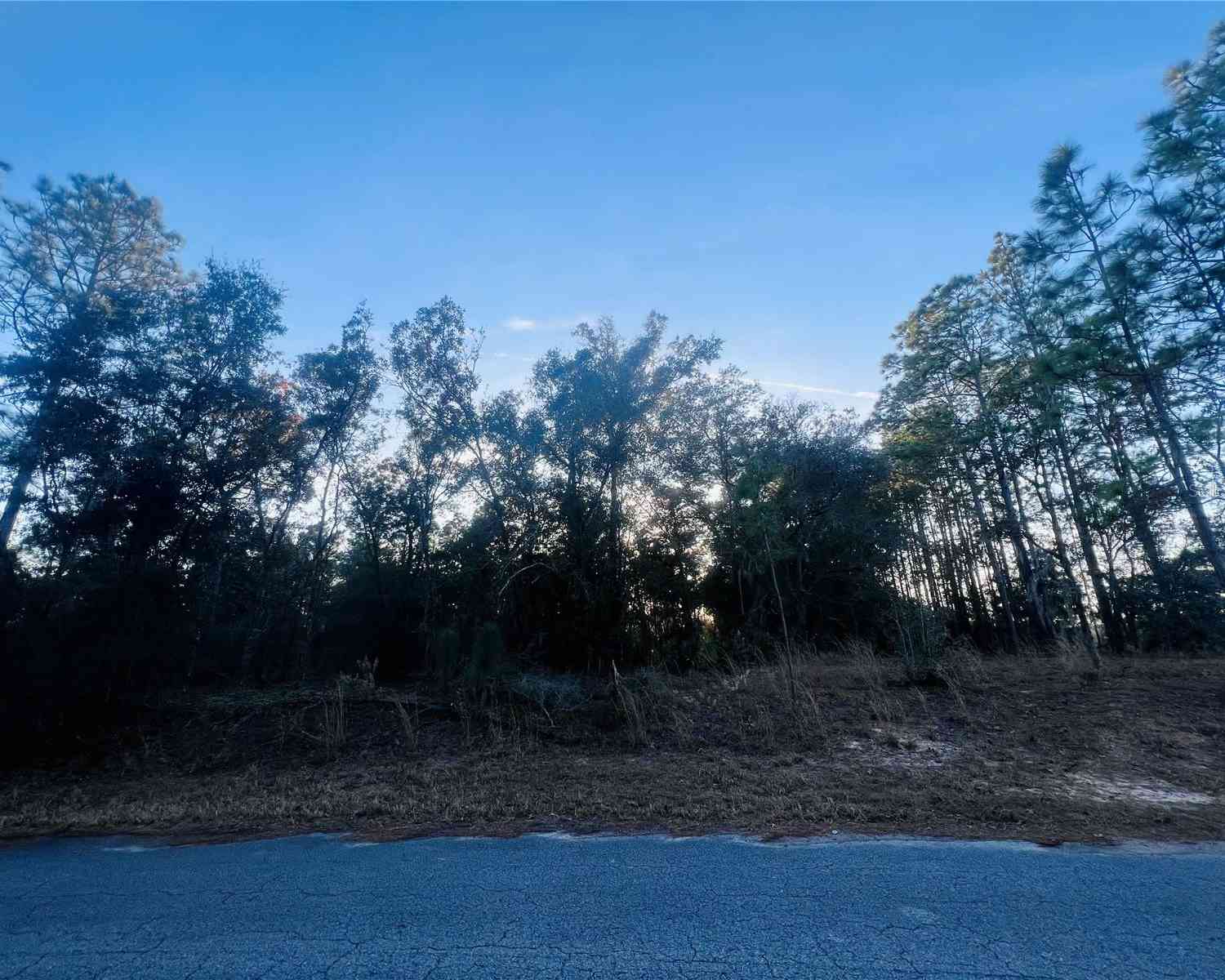 TBD SW 66th Loop, DUNNELLON, Florida image 1