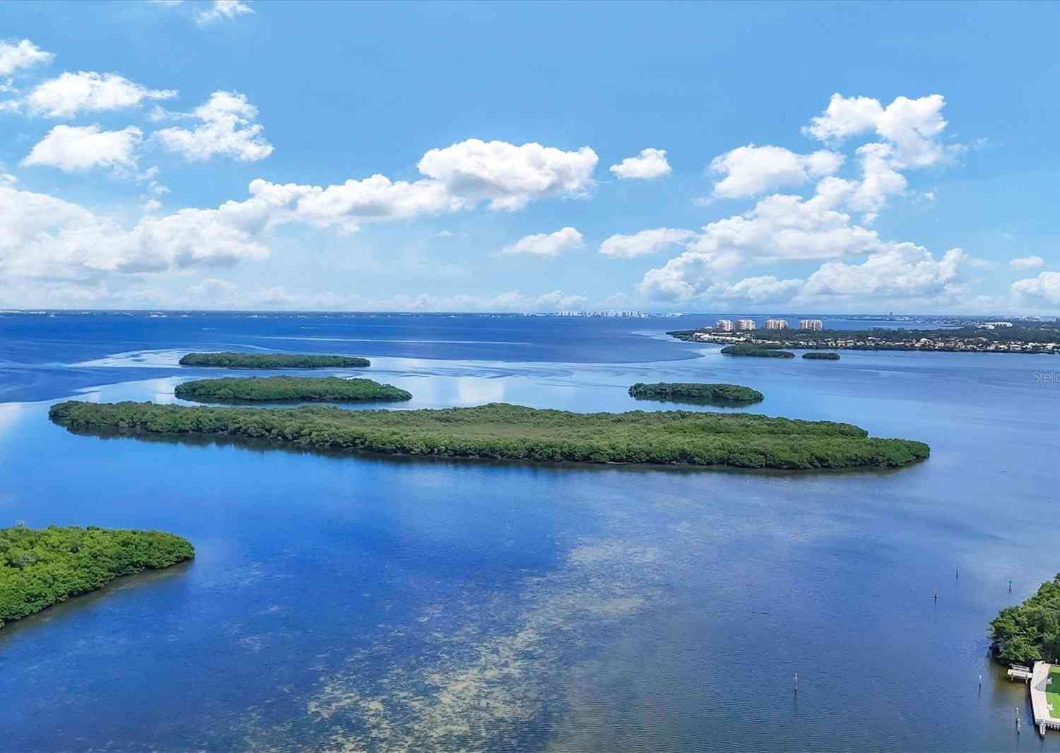 4330 Falmouth Drive #308, LONGBOAT KEY, Florida image 45