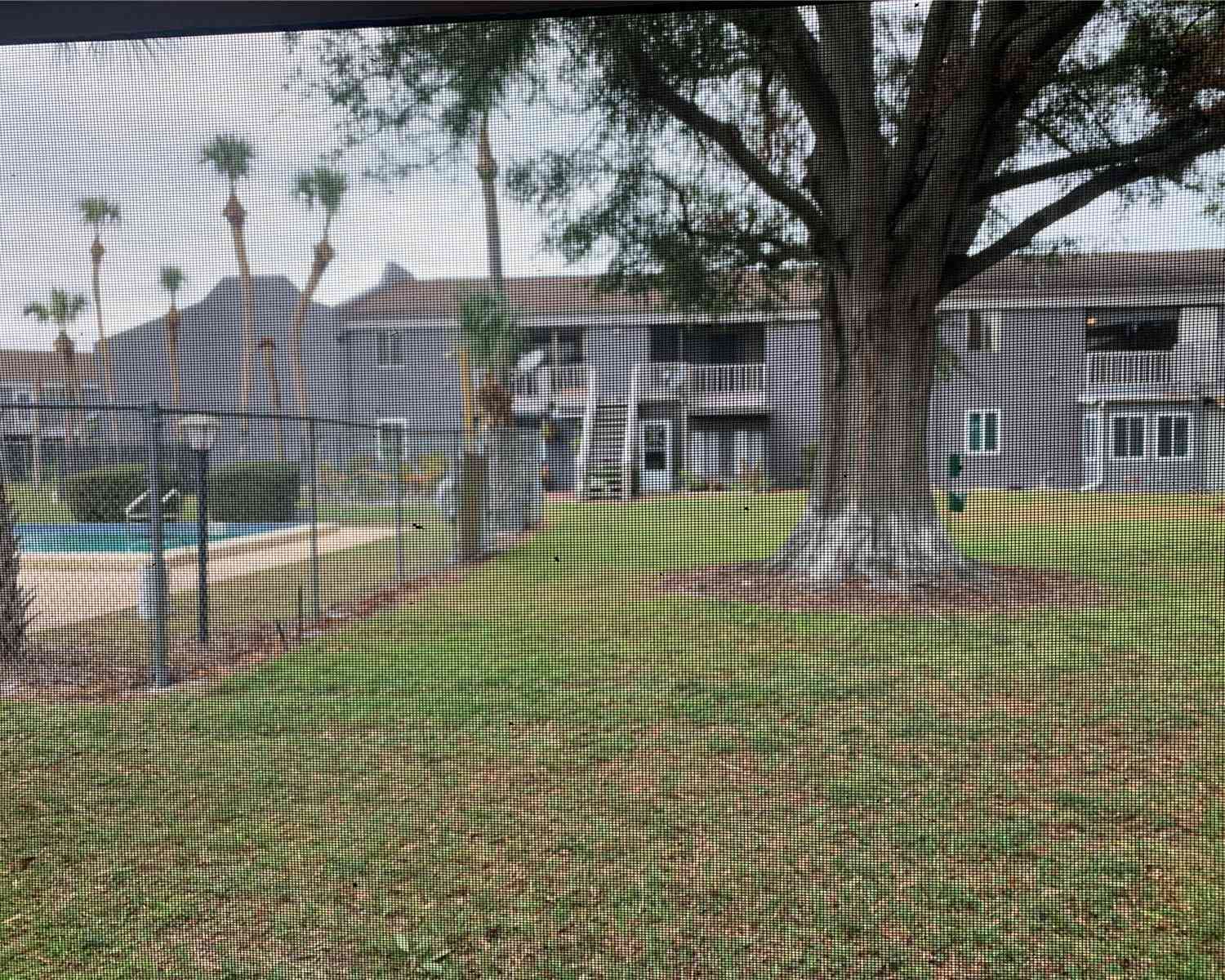 3802 Cortez Drive #B, Tampa, Florida image 35