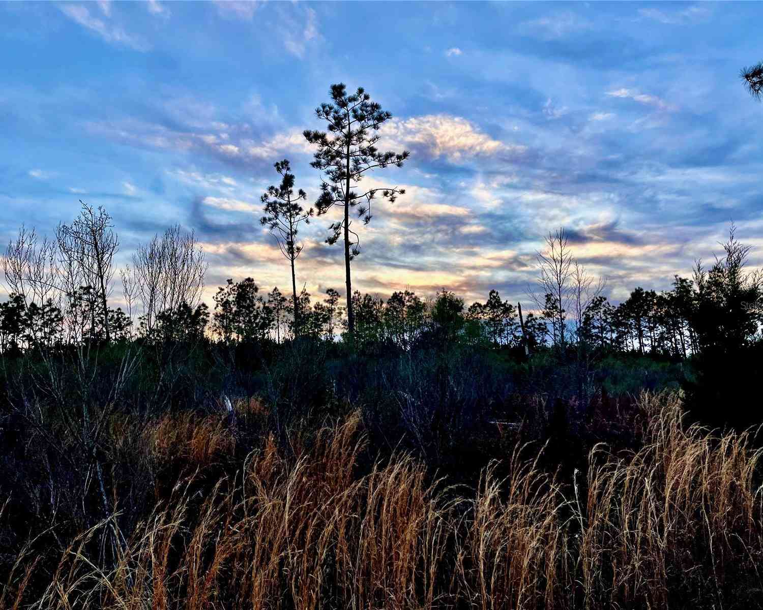 Bethlehem Road, COTTONDALE, Florida image 18