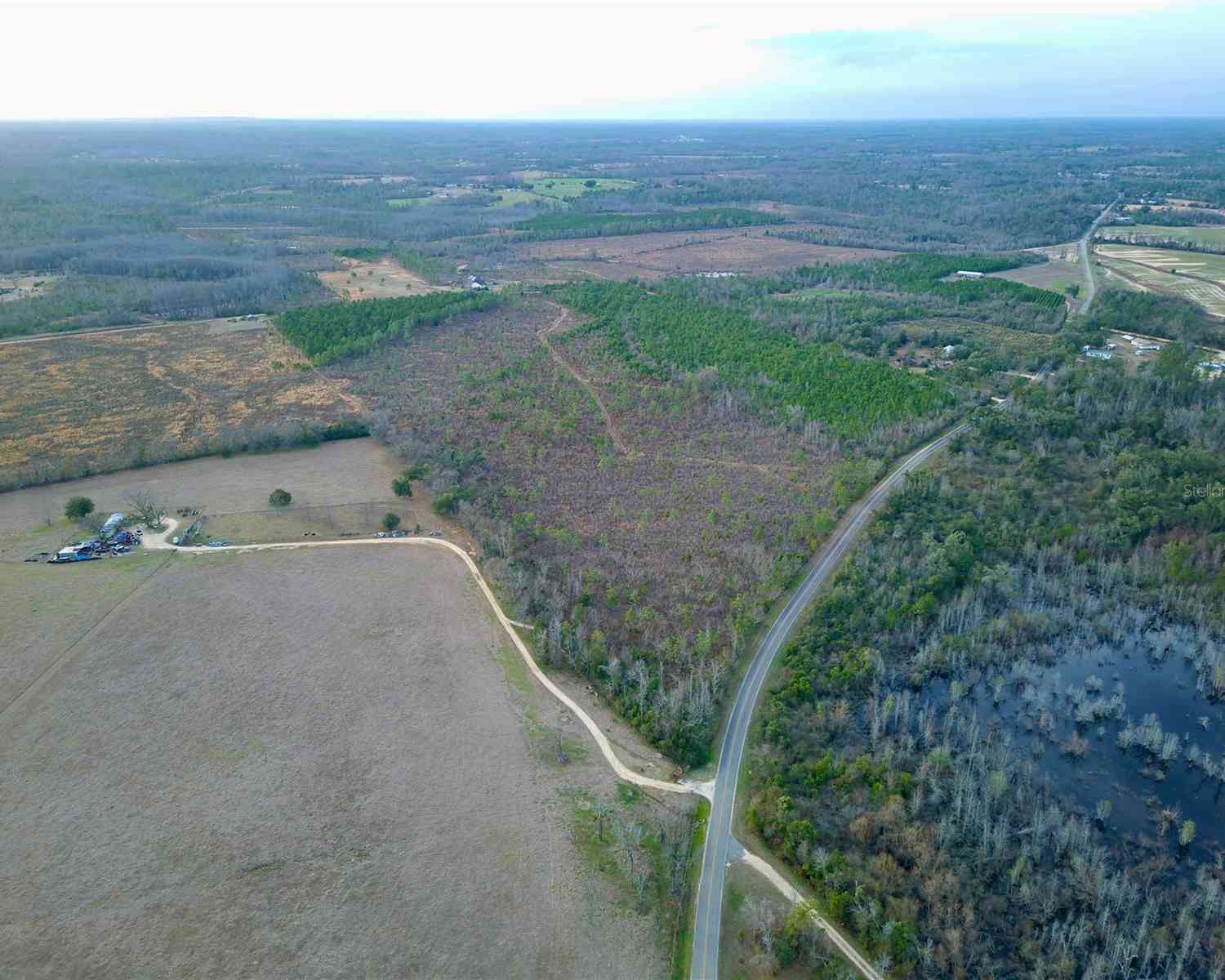 Bethlehem Road, COTTONDALE, Florida image 12