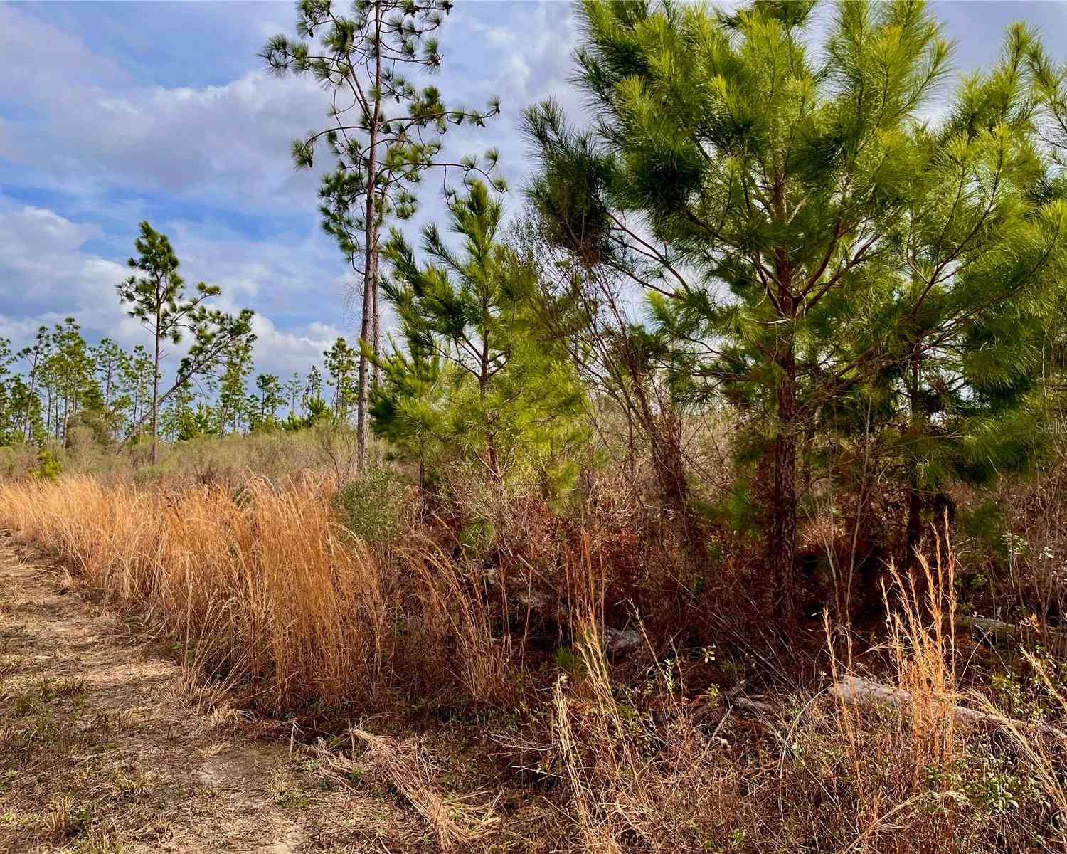 Bethlehem Road, COTTONDALE, Florida image 32