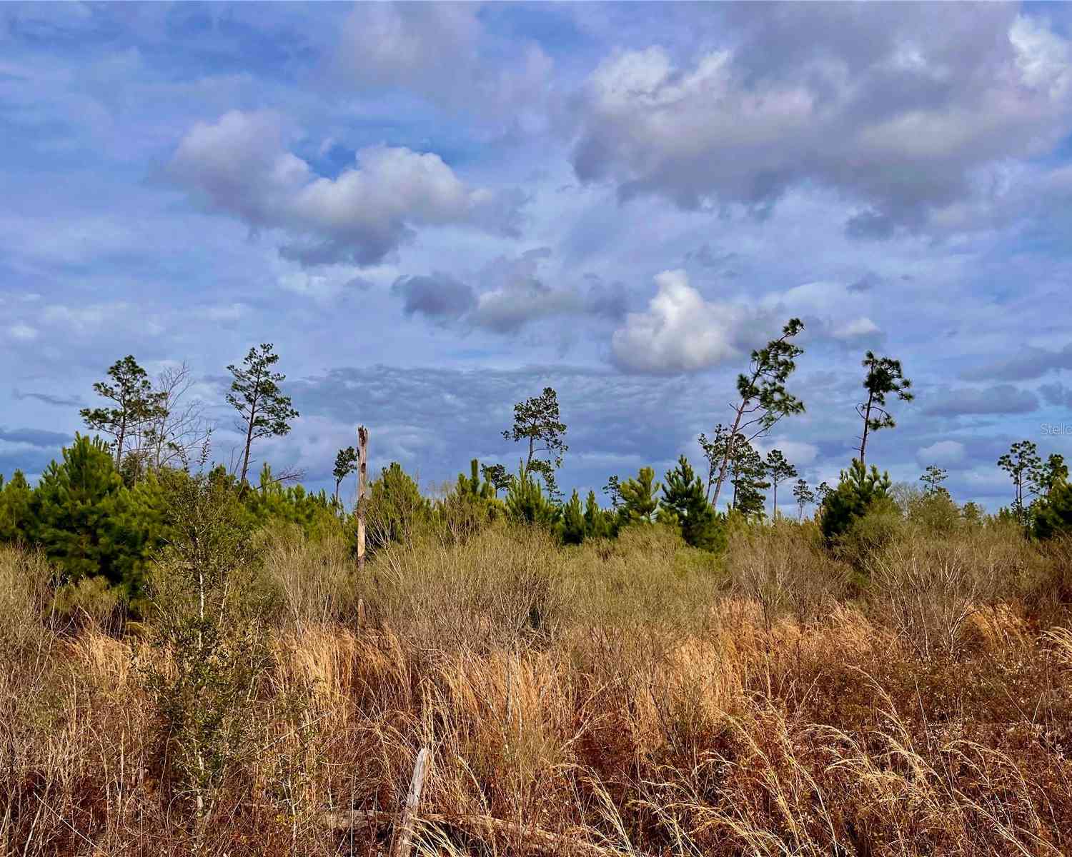 Bethlehem Road, COTTONDALE, Florida image 36