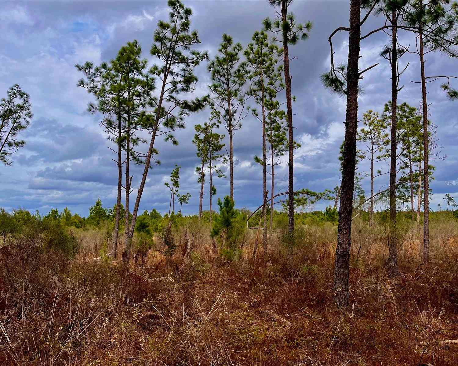 Bethlehem Road, COTTONDALE, Florida image 47