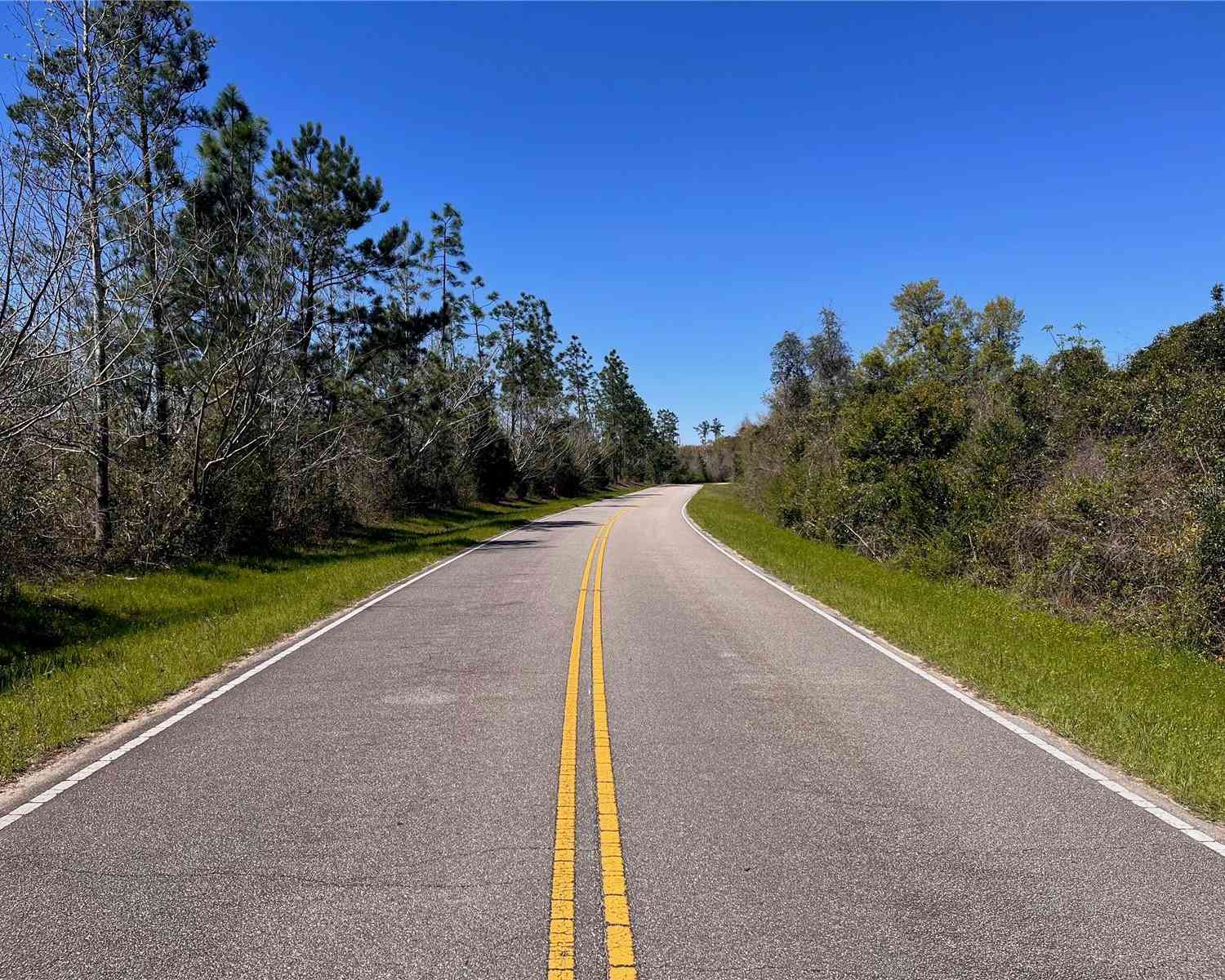 Bethlehem Road, COTTONDALE, Florida image 15