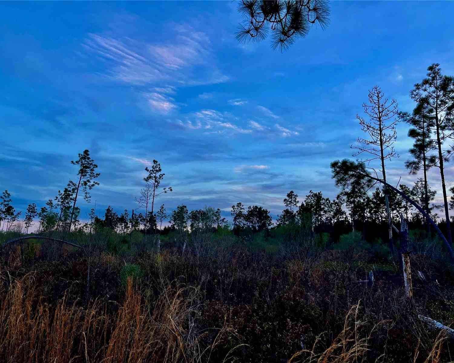 Bethlehem Road, COTTONDALE, Florida image 17