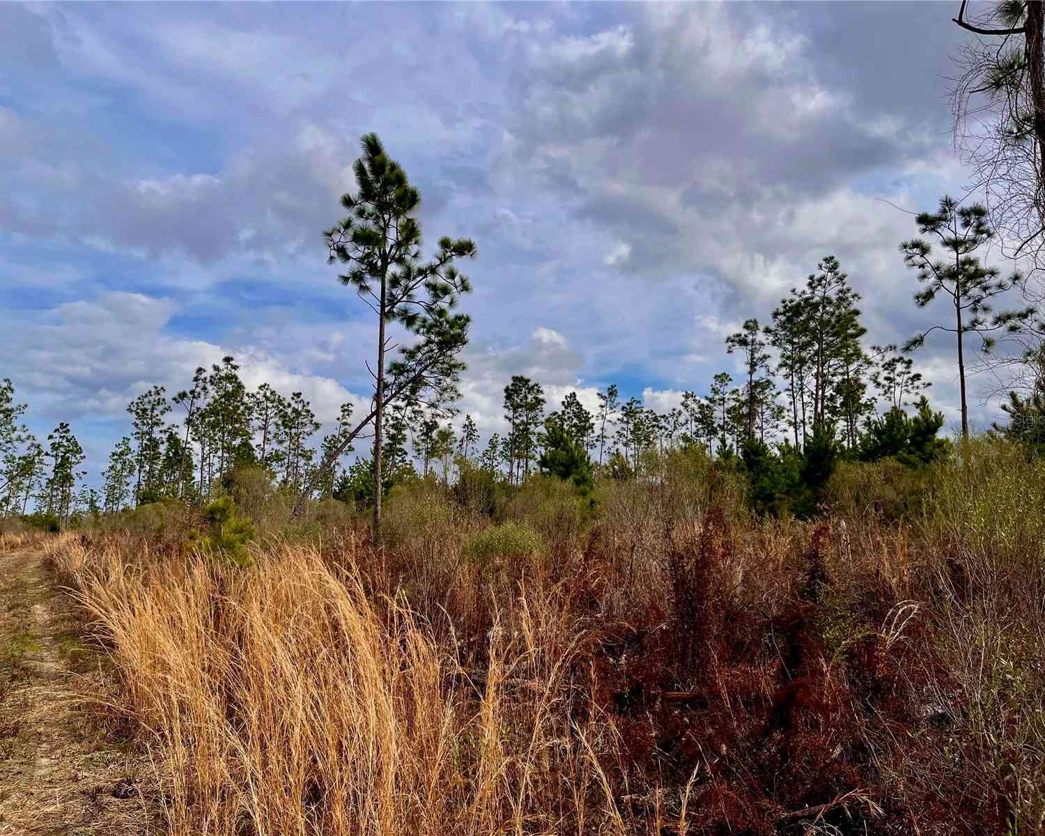 Bethlehem Road, COTTONDALE, Florida image 30