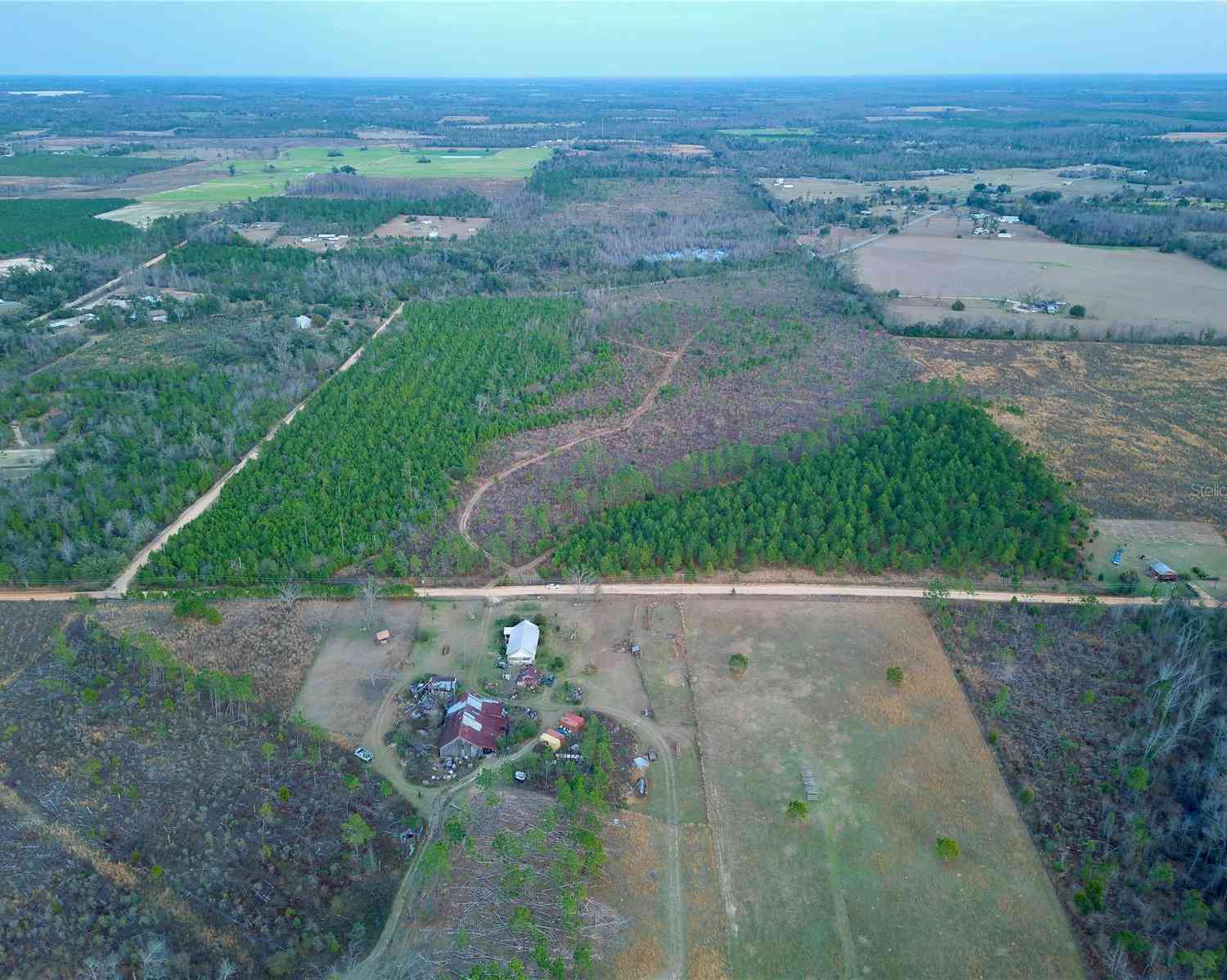 Bethlehem Road, COTTONDALE, Florida image 6