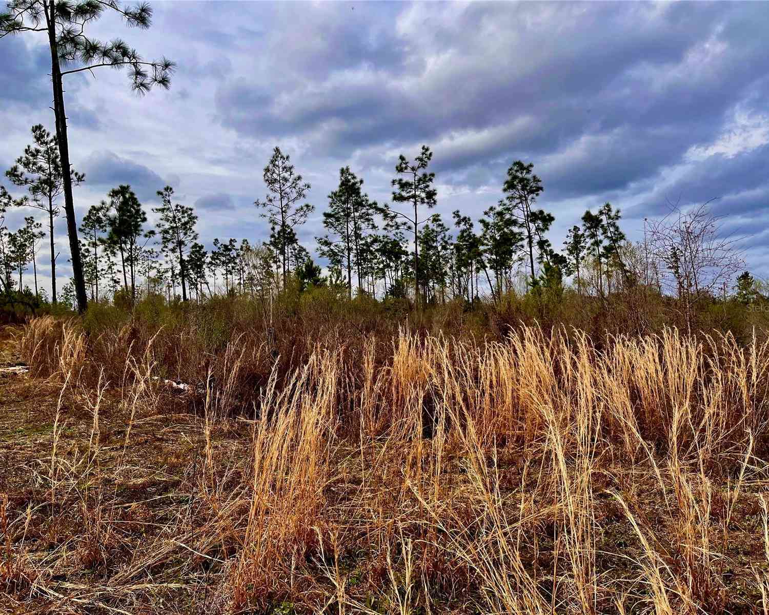 Bethlehem Road, COTTONDALE, Florida image 19