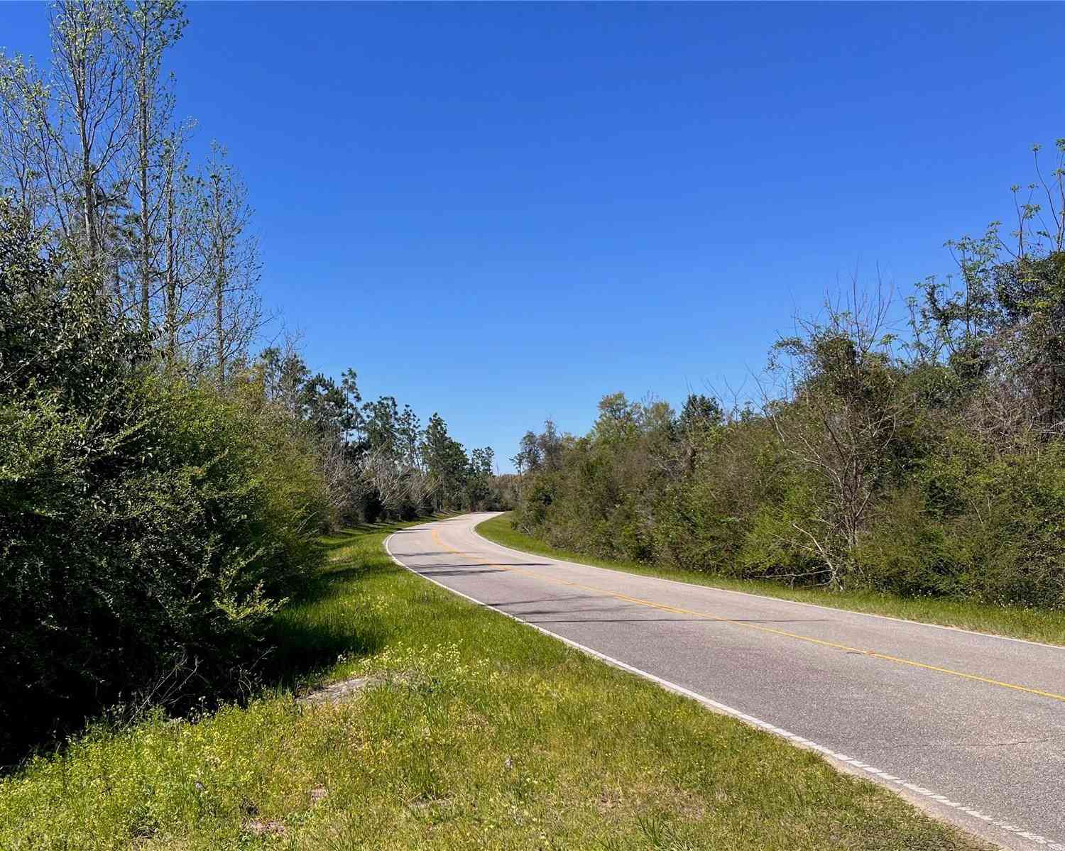 Bethlehem Road, COTTONDALE, Florida image 14