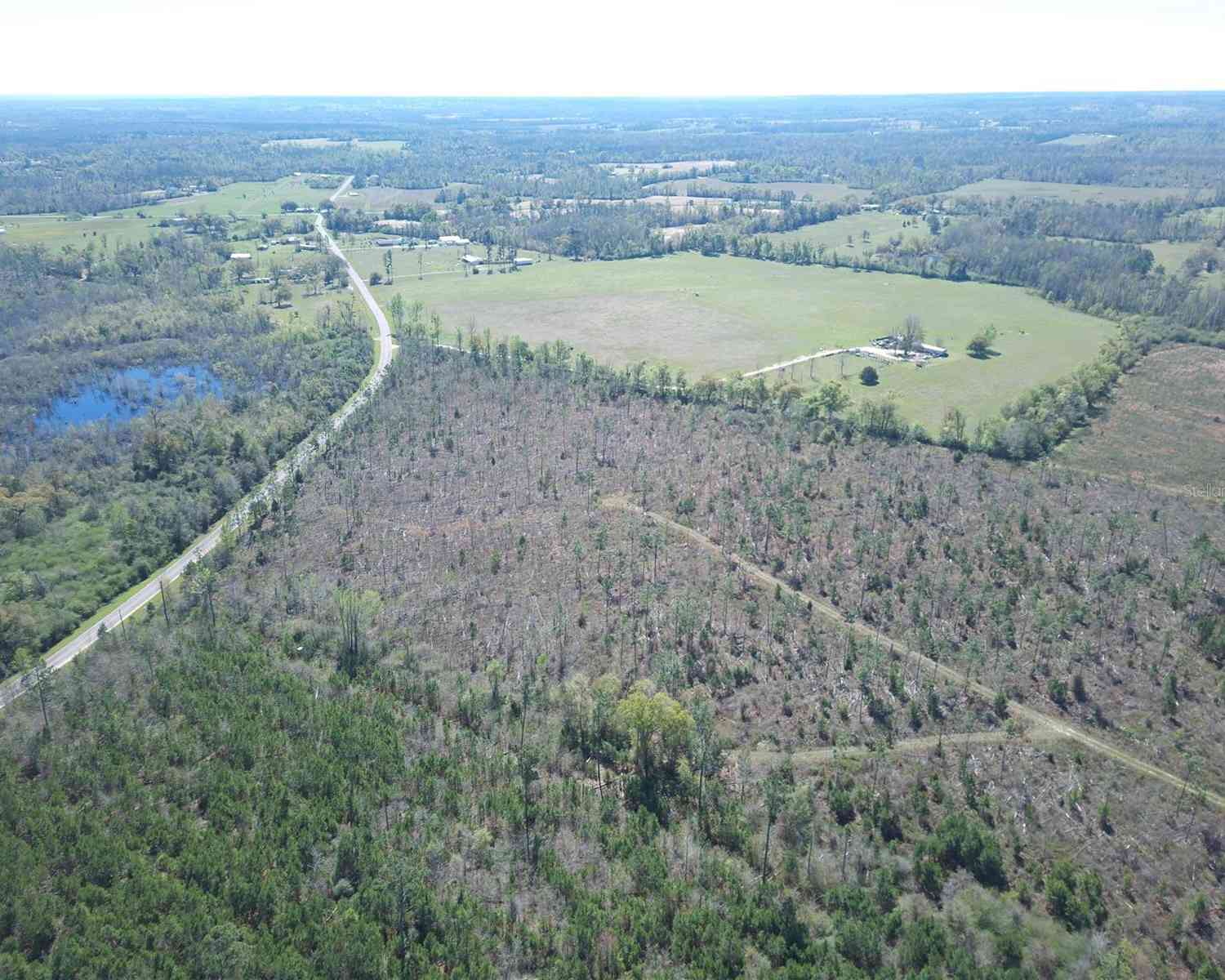 Bethlehem Road, COTTONDALE, Florida image 4