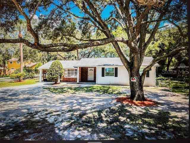 4202 E Richmere Street, Tampa, Florida image 4