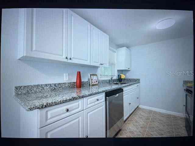 4202 E Richmere Street, Tampa, Florida image 9