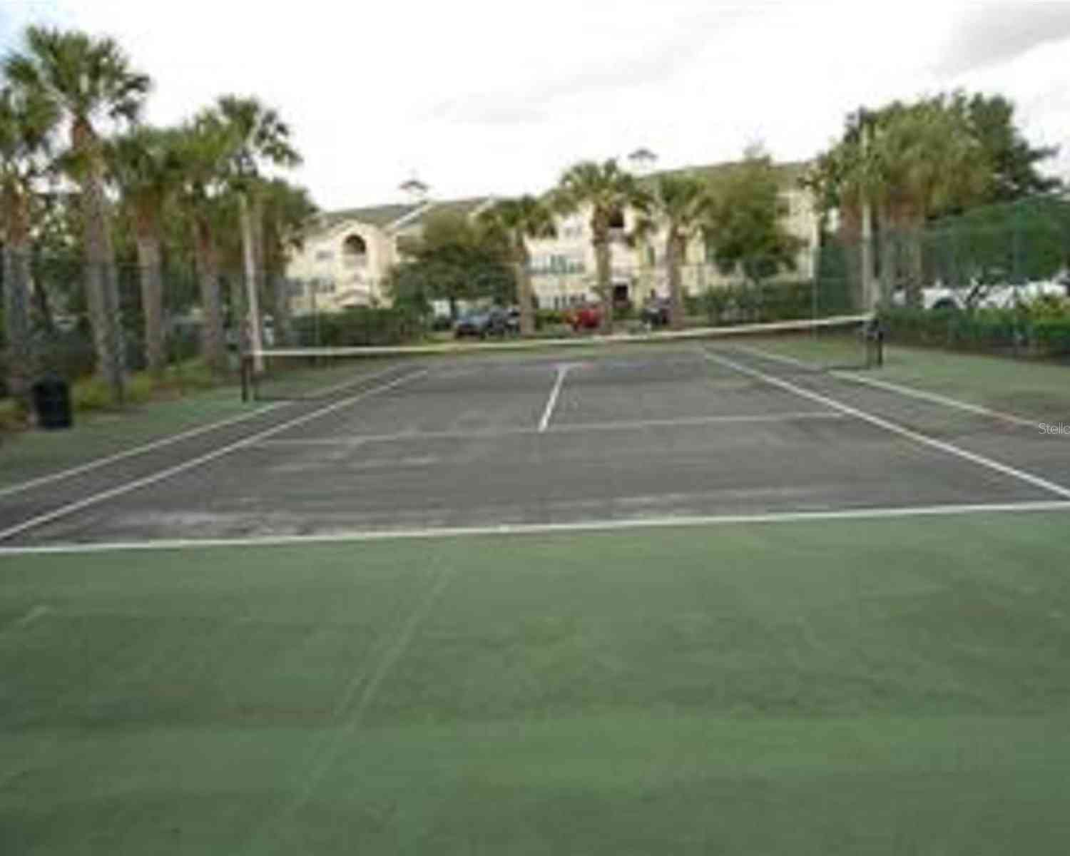 18235 Bridle Club Drive #18235, Tampa, Florida image 14