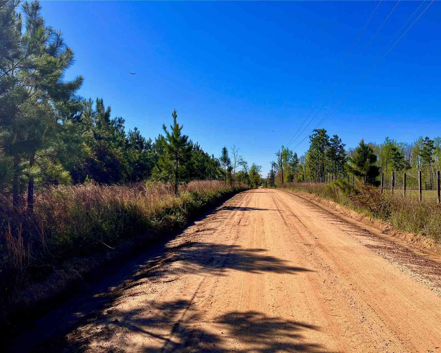 Mutual Road, COTTONDALE, Florida image 34