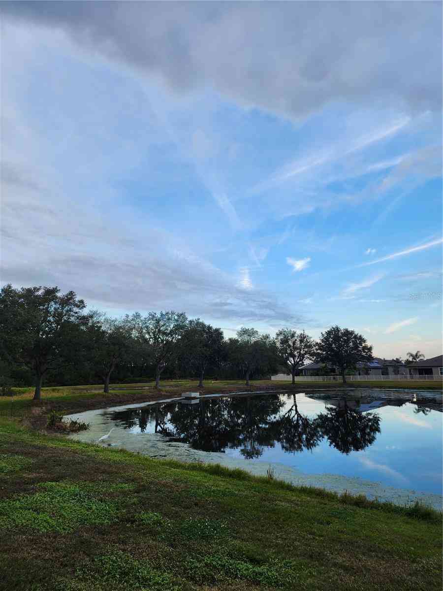 19279 Stone Hedge Drive, Tampa, Florida image 30