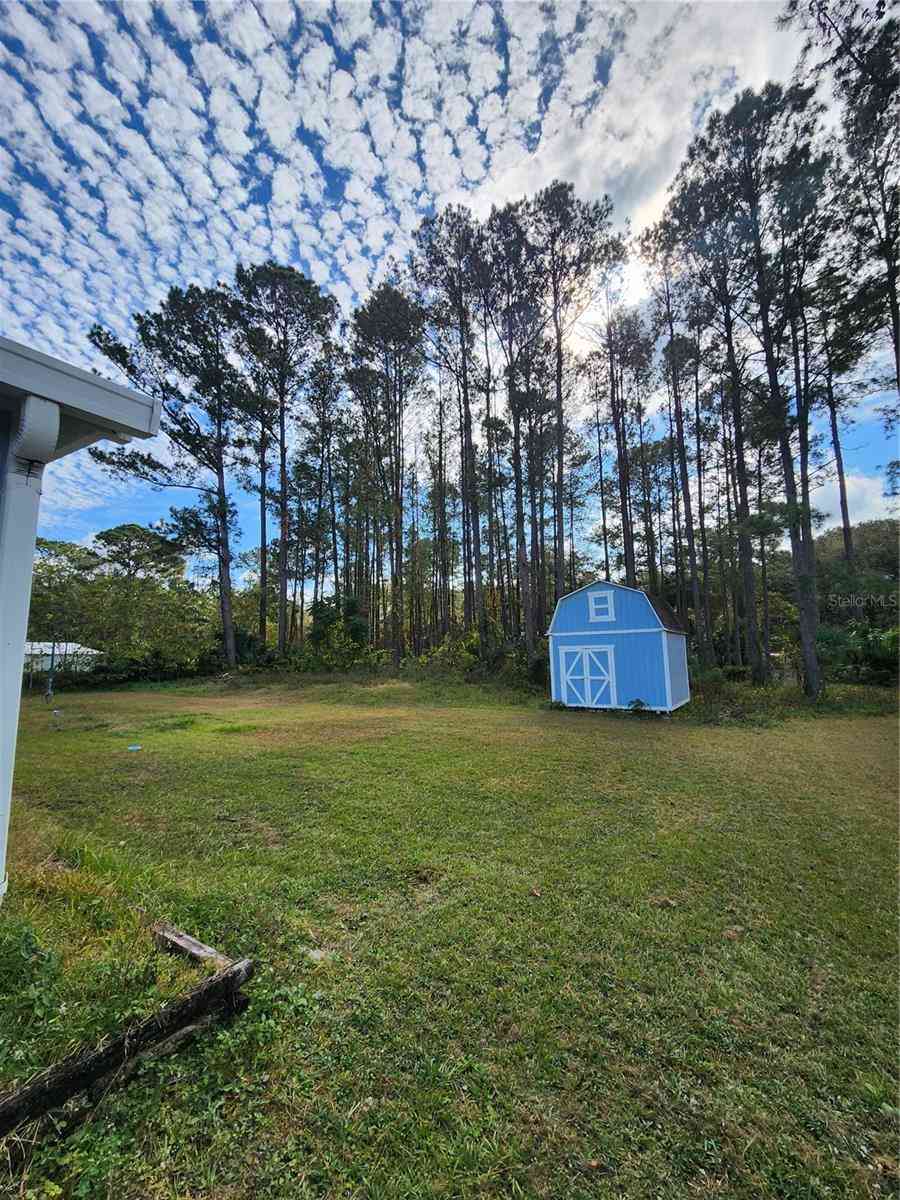 17700 SE 86th Street, OCKLAWAHA, Florida image 3